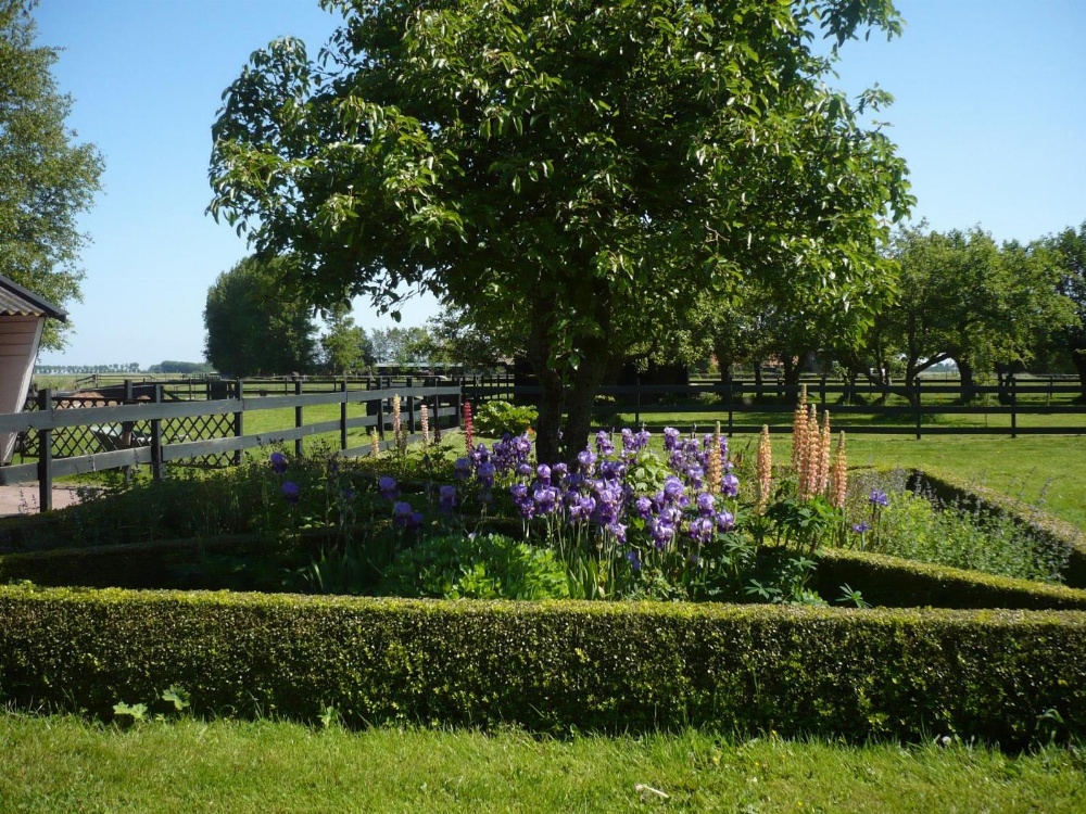 Shepherds House B&B Main image